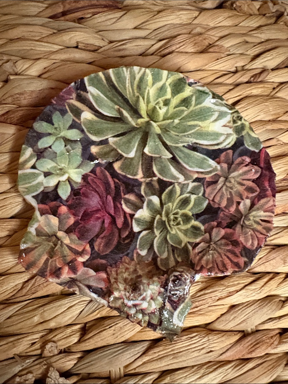 Hand Crafted Succulent Shell in Green and Burgundy